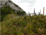 Sele-Zvrhnji Kot (Male) / Zell-Oberwinkel (Male) - Planina Korošica