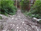 Bohinjska Bistrica - Planina Za Črno goro