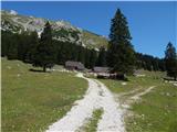 Planina Pungrat