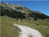 Planina Pungrat