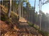 Rebrca / Rechberg - Kapelška koča / Eisenkappler Hütte