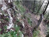 Rebrca / Rechberg - Kapelška koča / Eisenkappler Hütte