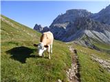 Rifugio Auronzo - Lastron dei Scarperi / Schusterplatte