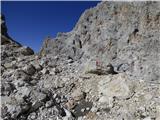 Rifugio Primula - Forcella Marmarole