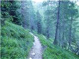 Pian dei Spiriti - Rifugio Fonda Savio