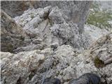 Passo Campolongo - Boeseekofel / Piz da Lech