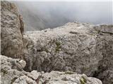 Passo Campolongo - Boeseekofel / Piz da Lech