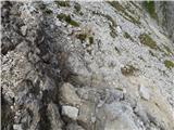 Passo Campolongo - Boeseekofel / Piz da Lech