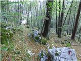 Lepena - Planina Zagreben