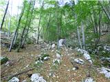 Lepena - Planina Zagreben