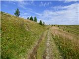 Rifugio Fedare - Monte Pore