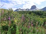 Rifugio Fedare - Monte Pore