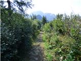 Rifugio Fedare - Monte Pore