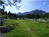 Rifugio Pederü - Vallon Bianco