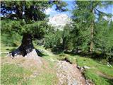 Rifugio Pederü - Vallon Bianco