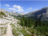 Capanna Alpina - Vallon Bianco