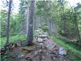 Ponte de Ru Curto - Rifugio Cinque Torri