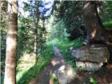 Ponte de Ru Curto - Rifugio Cinque Torri