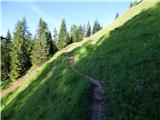 Ponte de Ru Curto - Rifugio Cinque Torri