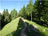 Ponte de Ru Curto - Rifugio Cinque Torri