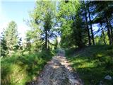 Ponte de Ru Curto - Rifugio Cinque Torri