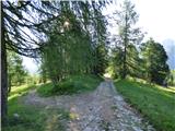 Ponte de Ru Curto - Rifugio Cinque Torri