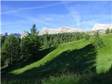 Ponte de Ru Curto - Rifugio Cinque Torri