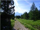 Ponte de Ru Curto - Rifugio Cinque Torri