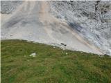 Aljažev dom v Vratih - Kucelj (Julian Alps)