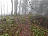 Kokra (resting place Kokra-sotočje) - Kopa (Partizanski vrh)