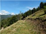 Možjanca - Zapečnikova planina