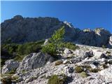 Rateče (Ledine) - Mala Ponca / Ponza Piccola