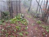 Kokra (resting place Kokra-sotočje) - Kopa (Partizanski vrh)