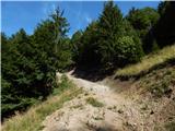 Kokra (resting place Kokra-sotočje) - Zapečnikova planina