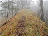 Kokra (resting place Kokra-sotočje) - Kopa (Partizanski vrh)