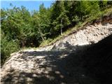 Kokra (resting place Kokra-sotočje) - Zapečnikova planina