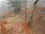 Kokra (resting place Kokra-sotočje) - Kopa (Partizanski vrh)