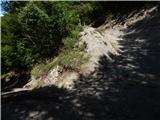 Kokra (resting place Kokra-sotočje) - Zapečnikova planina