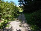 Kokra (resting place Kokra-sotočje) - Zapečnikova planina