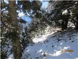 Ojstrc (Hochobir 2139m ) Avstrija V gozdu ni veliko snega