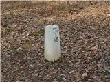 Budinci (border crossing) - Border stone A 115