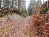 Nemilje - Sleme (Površnica)