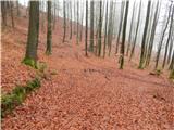 Nemilje - Sleme (Površnica)