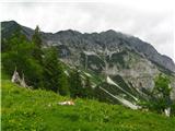 Ennstaler Alpen Pogled na greben iz poti nazaj na Ardningalm