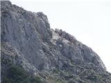 Planinki na skalni stopnji pod vrhom Palca - posneto s škrbine pod Zelenjakom