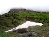 Planina Predolina belo na zelenem