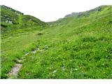 Hollbrucker Spitze 2580  in Holbrucker Kreuz lepa cvetlična pot  s poslušanjem šumenja potoka