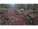 Pri Žagi (Javorniški Rovt)  - Planina Stamare