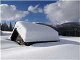 Planina Zajavornik ...in prekriti z debelimi snežnimi kapami...
