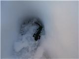 ubožček-paninski pupek ujet  v snegu